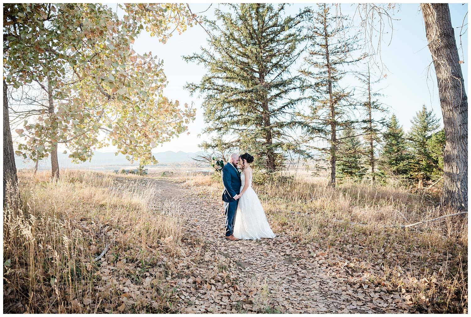 Bride and groom stand facing each other forehead to forehead in the middle of the photo surrounded by pine trees and one deciduous tree in the top left corner of the frame during the best month to get married in Colorado